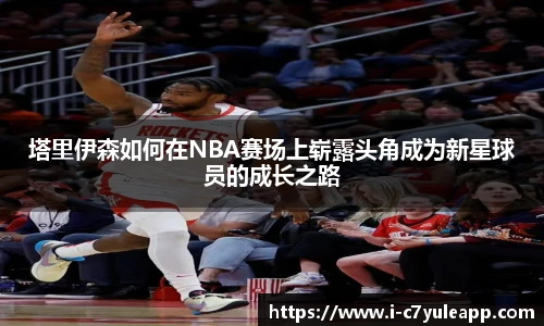 c7娱乐公司